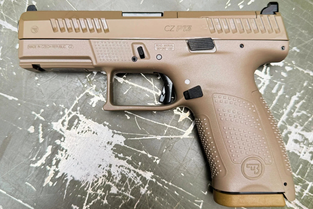CZ P13: Integrierte Nachweisführung erfolgreich abgeschlossen