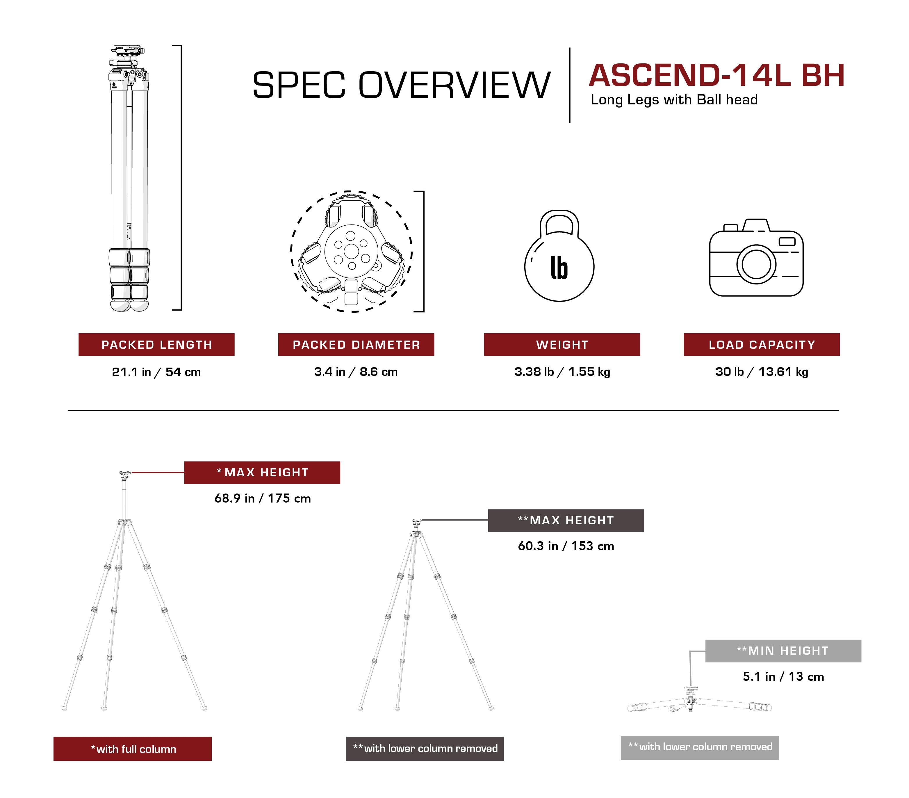 Really Right Stuff Ascend-14L-BH Karbonstativ mit integriertem Kugelkopf