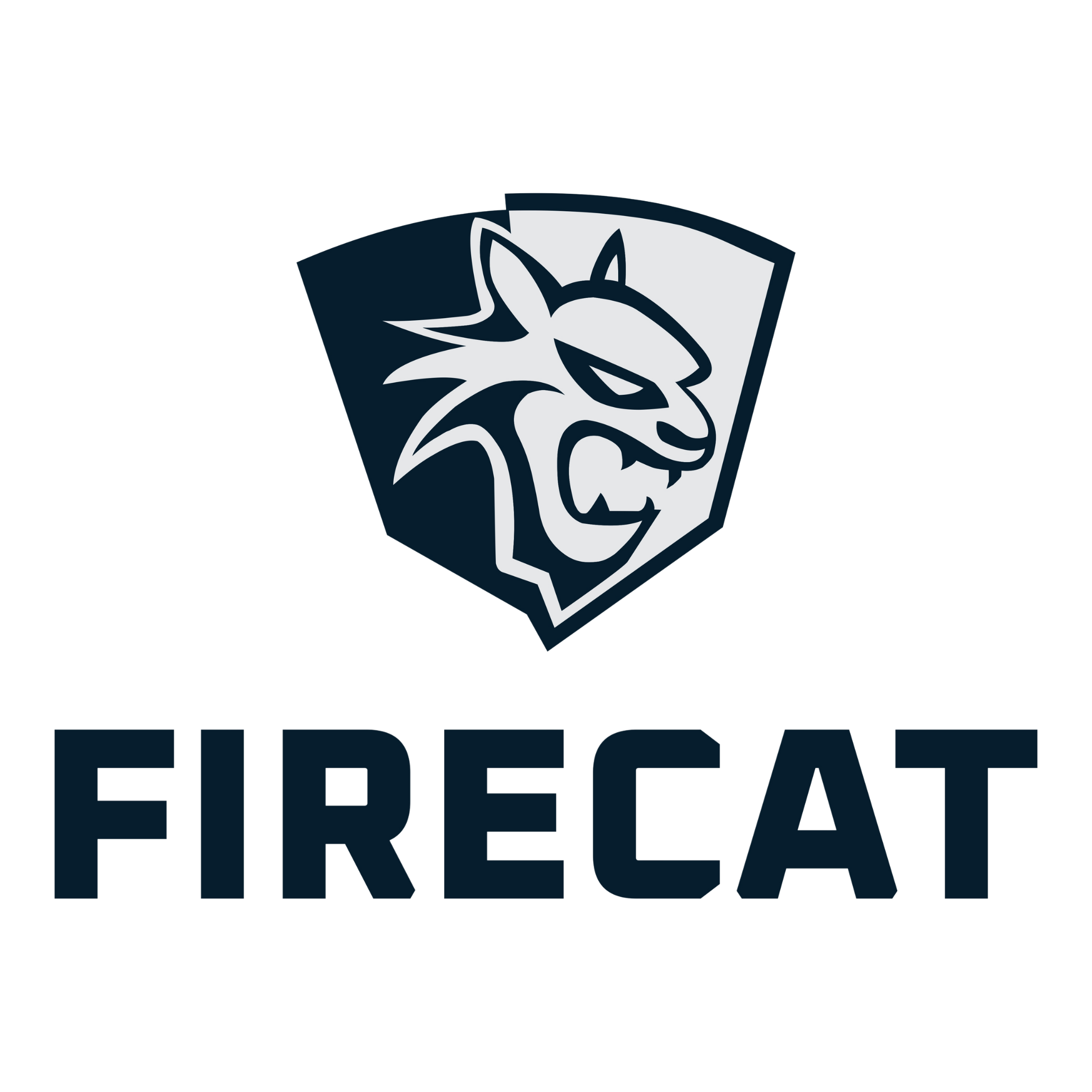 Logo 12