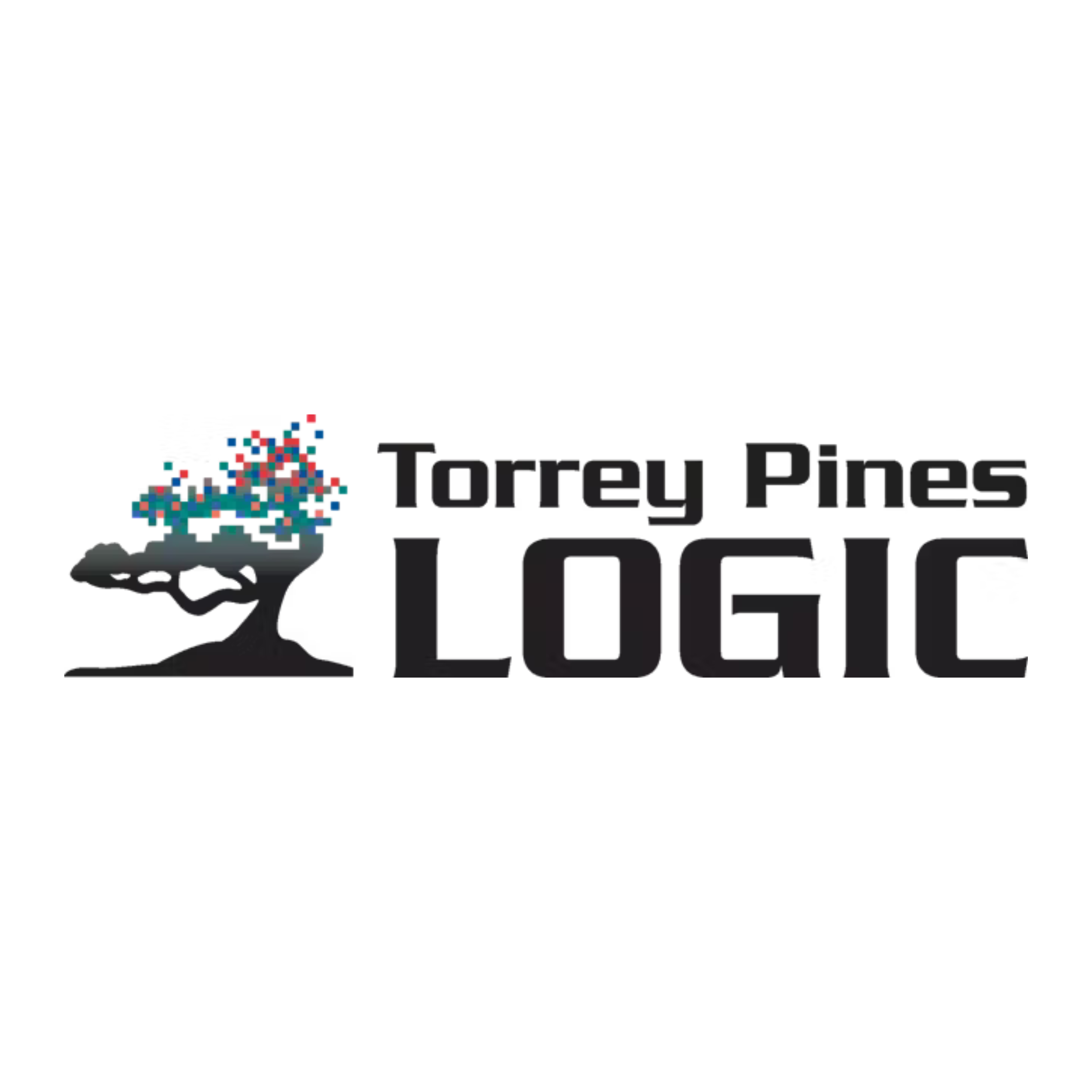 Logo 31